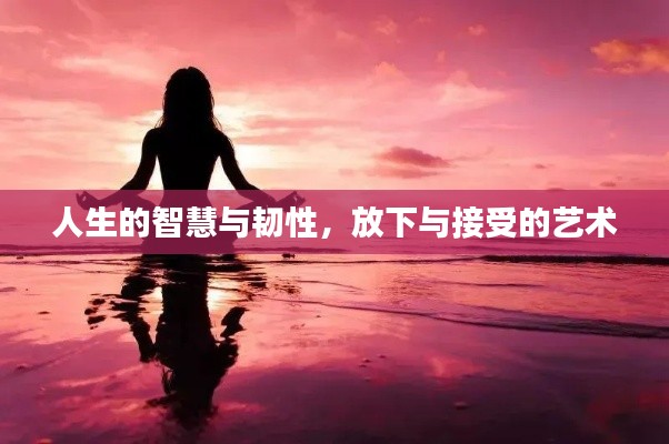 人生的智慧與韌性，放下與接受的藝術