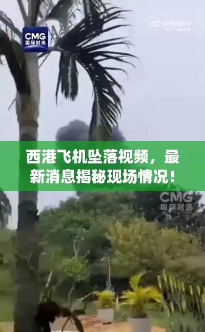 西港飛機墜落視頻，最新消息揭秘現(xiàn)場情況！