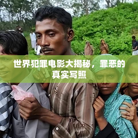 世界犯罪電影大揭秘，罪惡的真實寫照