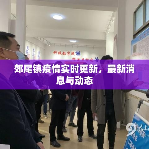 郊尾鎮(zhèn)疫情實時更新，最新消息與動態(tài)