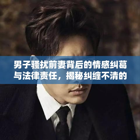 男子騷擾前妻背后的情感糾葛與法律責任，揭秘糾纏不清的法律紅線