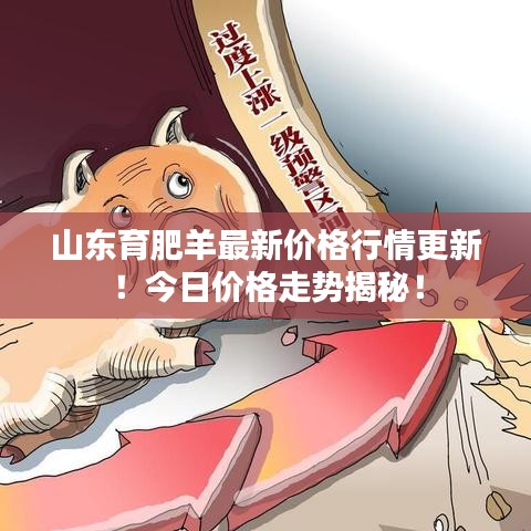 山東育肥羊最新價格行情更新！今日價格走勢揭秘！