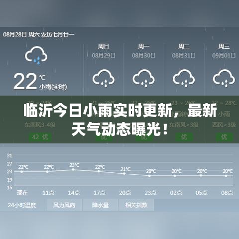 臨沂今日小雨實時更新，最新天氣動態(tài)曝光！