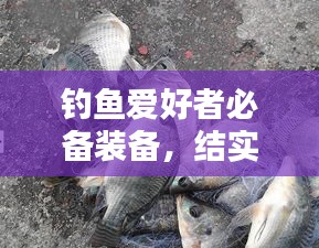 釣魚愛好者必備裝備，結(jié)實(shí)不斷的釣竿，讓你輕松釣上大魚！