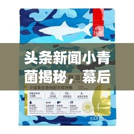 頭條新聞小青菌揭秘，幕后故事與巨大影響力