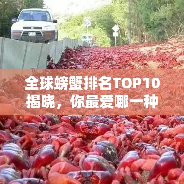 全球螃蟹排名TOP10揭曉，你最愛哪一種？