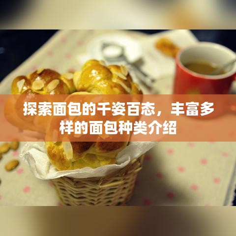 探索面包的千姿百態(tài)，豐富多樣的面包種類介紹