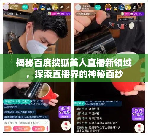 揭秘百度搜狐美人直播新領(lǐng)域，探索直播界的神秘面紗
