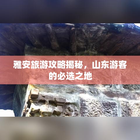 雅安旅游攻略揭秘，山東游客的必選之地