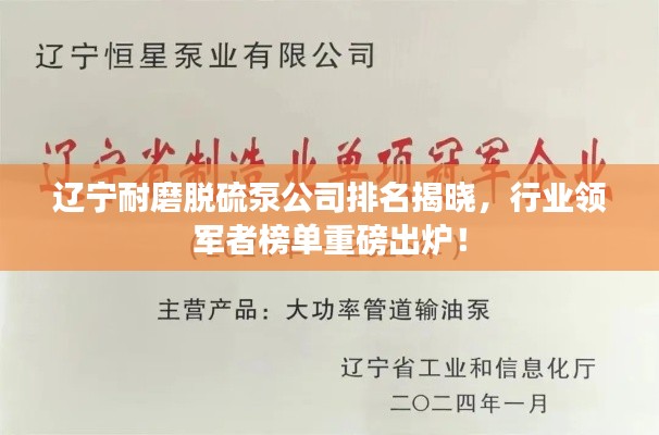 遼寧耐磨脫硫泵公司排名揭曉，行業(yè)領(lǐng)軍者榜單重磅出爐！