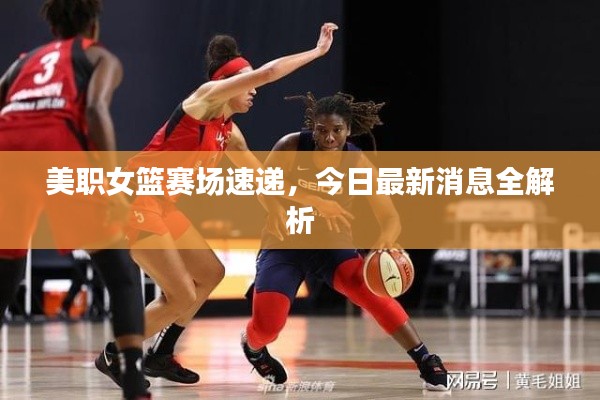 美職女籃賽場速遞，今日最新消息全解析