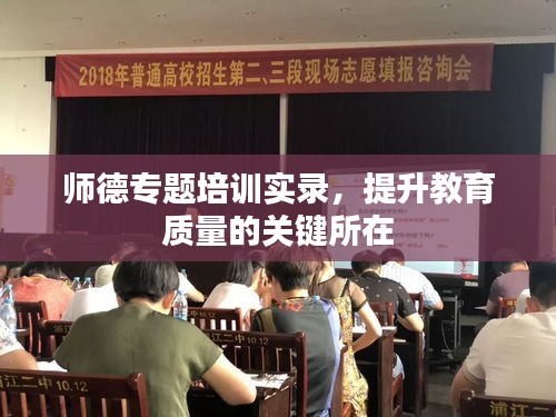 師德專題培訓(xùn)實錄，提升教育質(zhì)量的關(guān)鍵所在