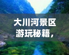 大川河景區(qū)游玩秘籍，暢游美景，盡享樂趣！