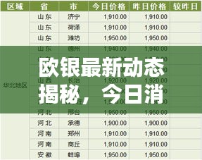 歐銀最新動態(tài)揭秘，今日消息一網(wǎng)打盡！