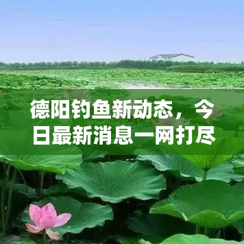 德陽釣魚新動態(tài)，今日最新消息一網(wǎng)打盡！