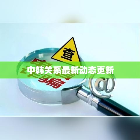 中韓關系最新動態(tài)更新