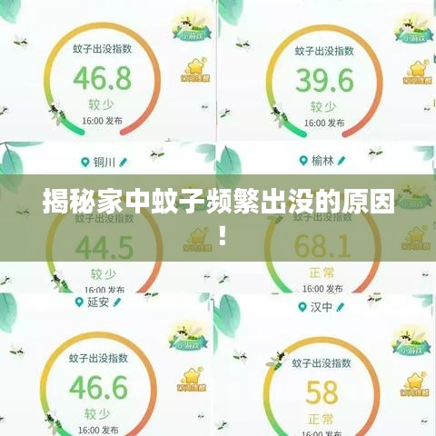 揭秘家中蚊子頻繁出沒的原因！