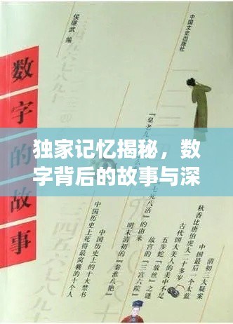 獨(dú)家記憶揭秘，數(shù)字背后的故事與深意探尋