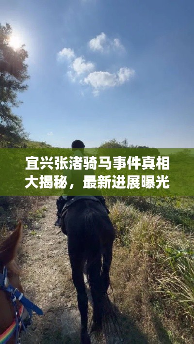 宜興張渚騎馬事件真相大揭秘，最新進(jìn)展曝光