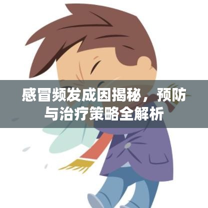 感冒頻發(fā)成因揭秘，預(yù)防與治療策略全解析