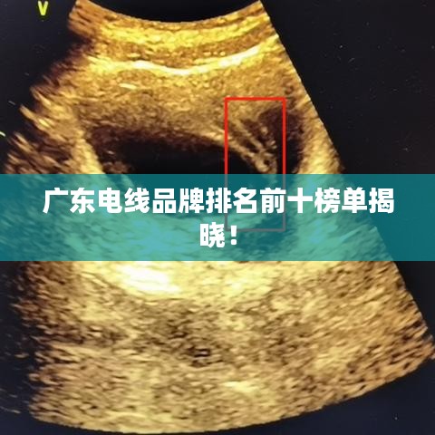 廣東電線品牌排名前十榜單揭曉！