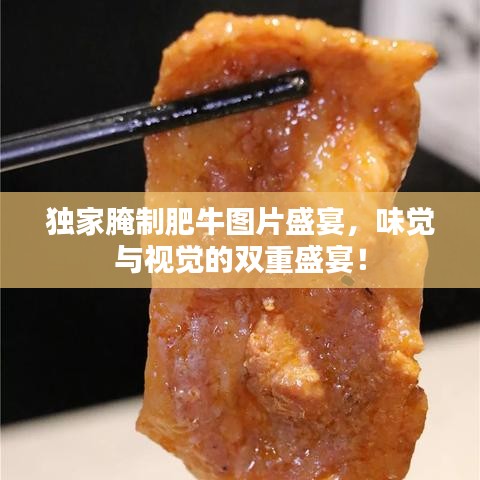 獨(dú)家腌制肥牛圖片盛宴，味覺(jué)與視覺(jué)的雙重盛宴！
