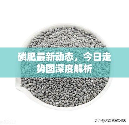 磷肥最新動態(tài)，今日走勢圖深度解析
