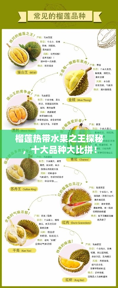 榴蓮熱帶水果之王探秘，十大品種大比拼！