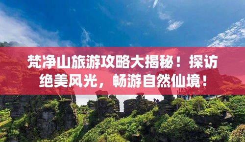 梵凈山旅游攻略大揭秘！探訪絕美風(fēng)光，暢游自然仙境！