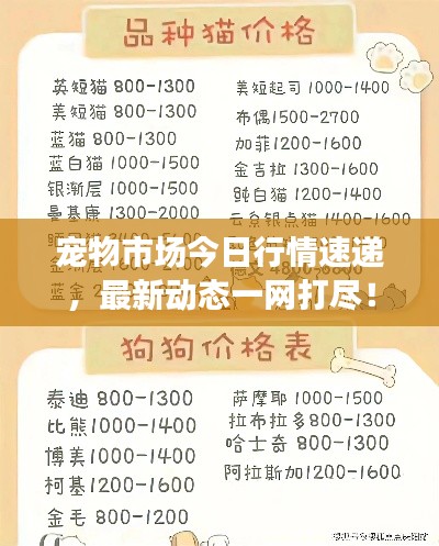 寵物市場今日行情速遞，最新動態(tài)一網(wǎng)打盡！