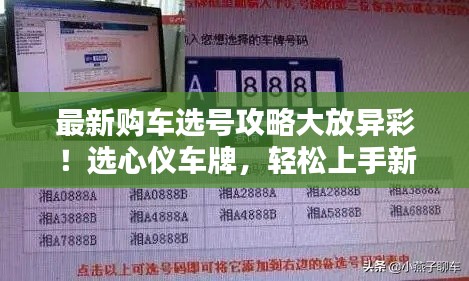 最新購車選號(hào)攻略大放異彩！選心儀車牌，輕松上手新車！