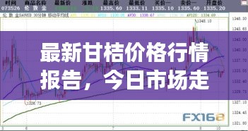 最新甘桔價格行情報告，今日市場走勢一網(wǎng)打盡！