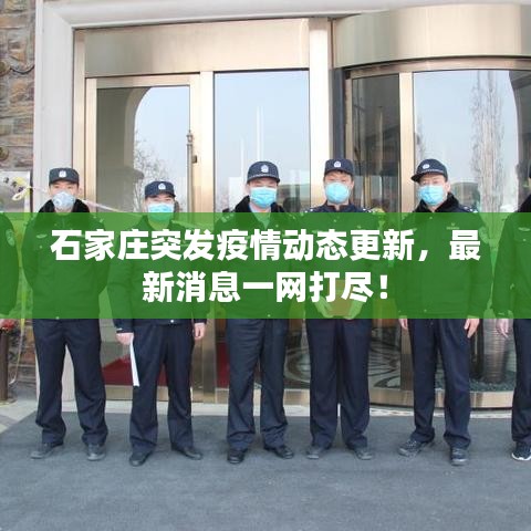 石家莊突發(fā)疫情動態(tài)更新，最新消息一網(wǎng)打盡！