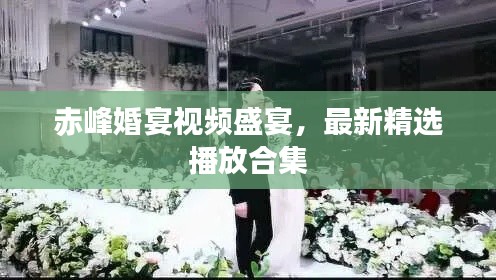 赤峰婚宴視頻盛宴，最新精選播放合集