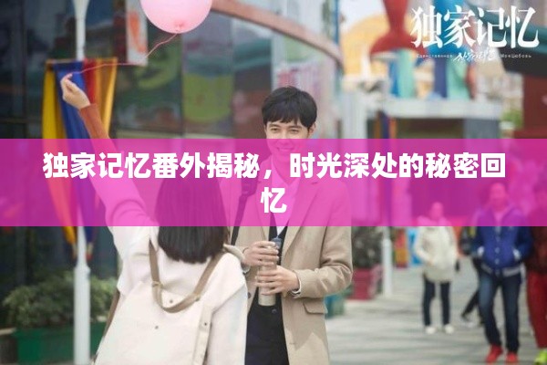 獨家記憶番外揭秘，時光深處的秘密回憶