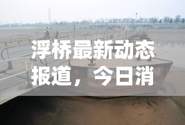 浮橋最新動態(tài)報道，今日消息更新速遞