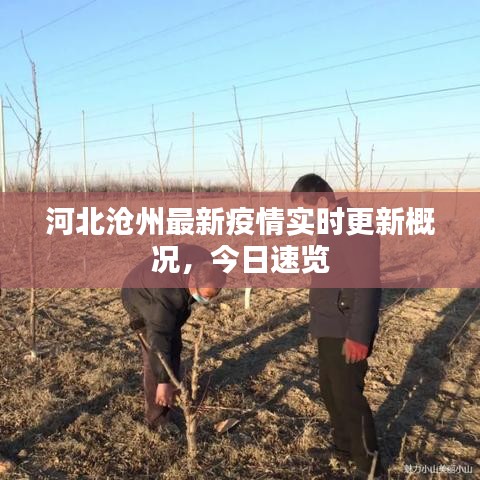 河北滄州最新疫情實時更新概況，今日速覽