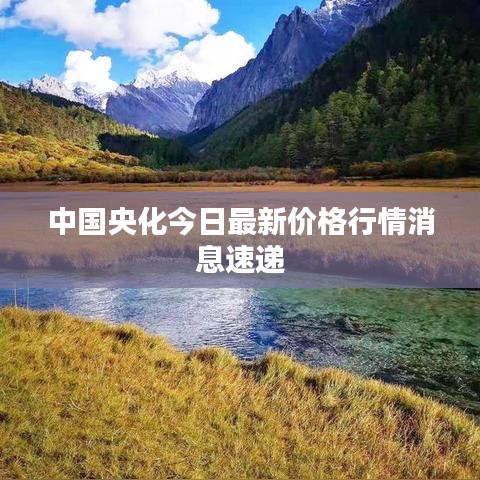 中國央化今日最新價(jià)格行情消息速遞