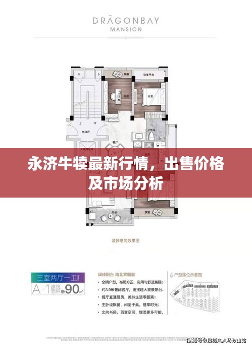永濟牛犢最新行情，出售價格及市場分析
