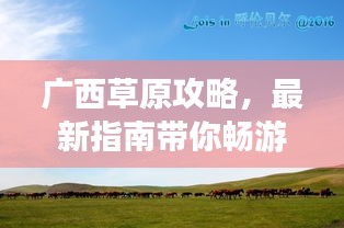 廣西草原攻略，最新指南帶你暢游草原美景！