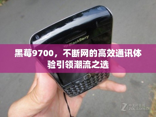 百不得一 第2頁