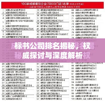 標(biāo)書公司排名揭秘，權(quán)威探討與深度解析
