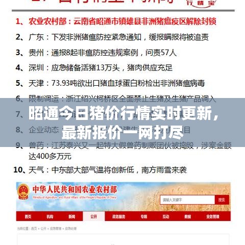 昭通今日豬價行情實時更新，最新報價一網(wǎng)打盡
