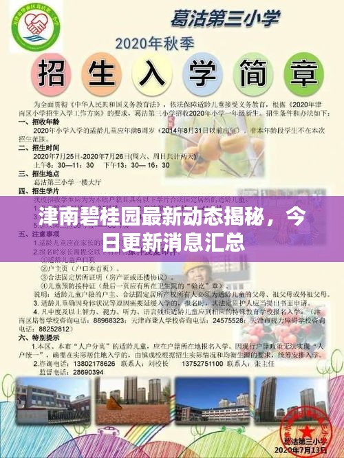 津南碧桂園最新動態(tài)揭秘，今日更新消息匯總
