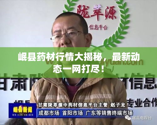 岷縣藥材行情大揭秘，最新動態(tài)一網(wǎng)打盡！