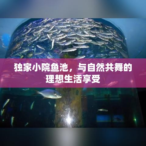 獨(dú)家小院魚池，與自然共舞的理想生活享受