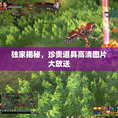 獨(dú)家揭秘，珍貴道具高清圖片大放送