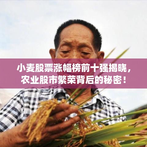 小麥股票漲幅榜前十強揭曉，農(nóng)業(yè)股市繁榮背后的秘密！