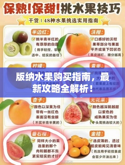版納水果購買指南，最新攻略全解析！