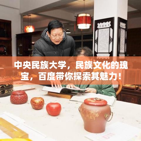 中央民族大學(xué)，民族文化的瑰寶，百度帶你探索其魅力！
